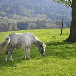 Biohof Auinger, Der Tiererlebnishof *