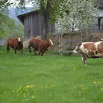 Biohof Auinger, Der Tiererlebnishof Appartement *