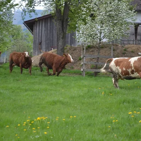 Biohof Auinger, Der Tiererlebnishof Appartement *
