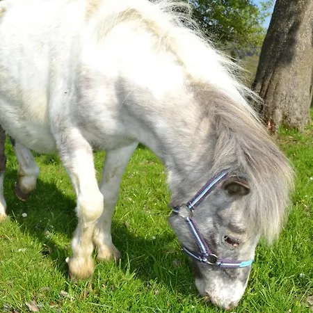 Apartament Biohof Auinger, Der Tiererlebnishof Aurach am Hongar