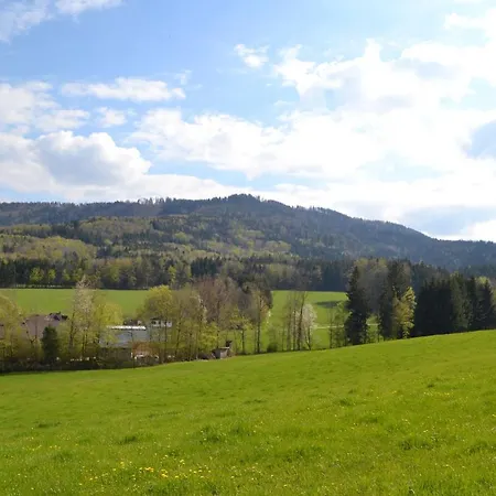 Biohof Auinger, Der Tiererlebnishof 公寓 Aurach am Hongar