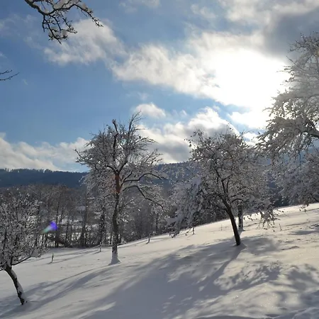 Biohof Auinger, Der Tiererlebnishof *