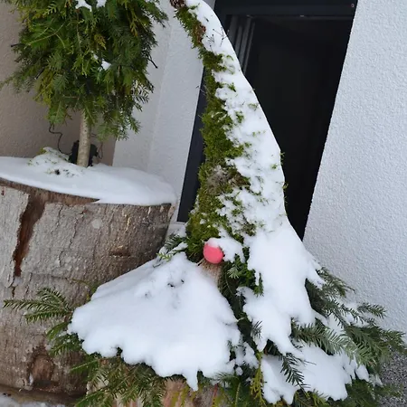 Biohof Auinger, Der Tiererlebnishof Lägenhet Aurach am Hongar