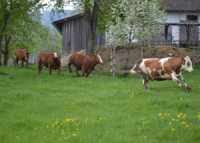 Biohof Auinger, Der Tiererlebnishof Apartamento *
