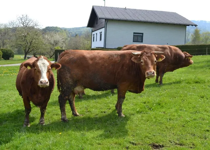 Διαμέρισμα Biohof Auinger, Der Tiererlebnishof