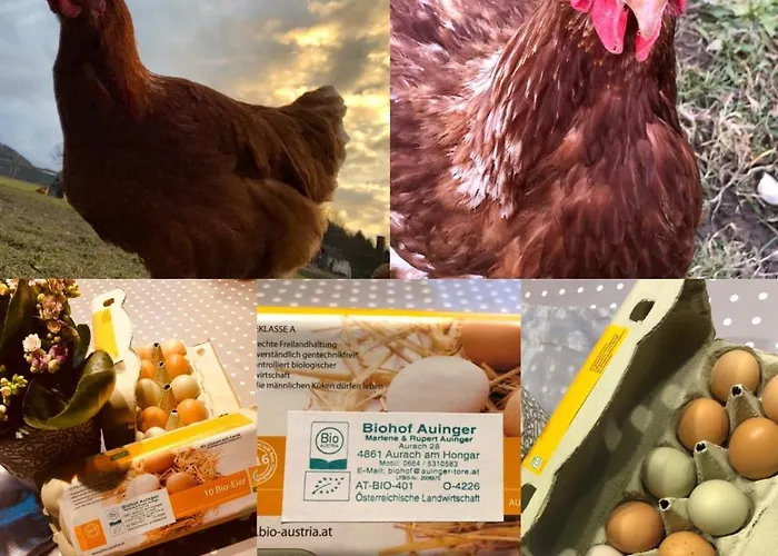 公寓 Biohof Auinger, Der Tiererlebnishof