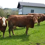 Apartman Biohof Auinger, Der Tiererlebnishof