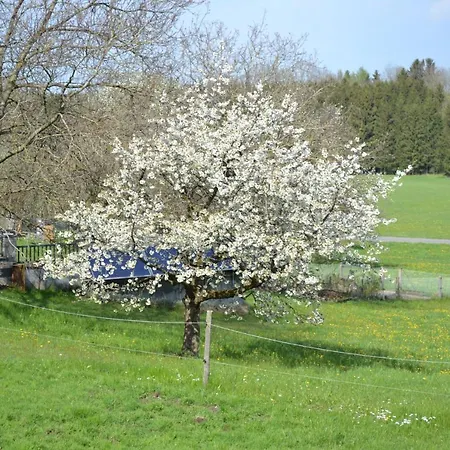 Apartment Biohof Auinger, Der Tiererlebnishof