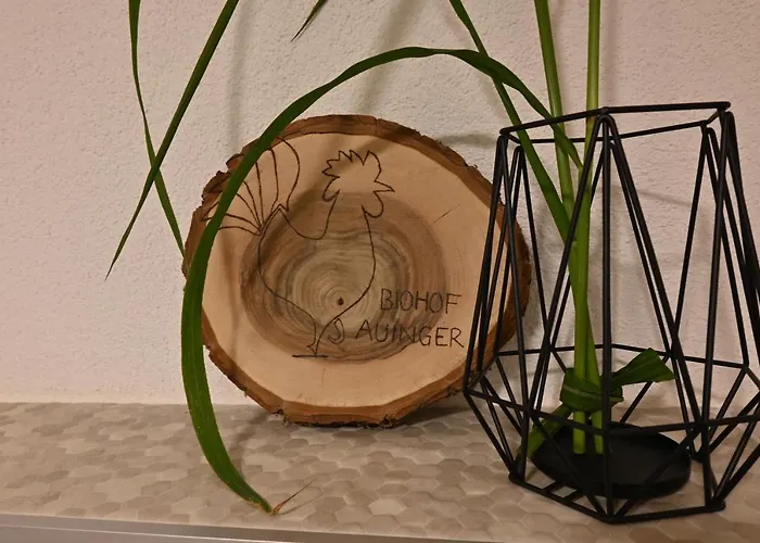 Daire Biohof Auinger, Der Tiererlebnishof Aurach am Hongar