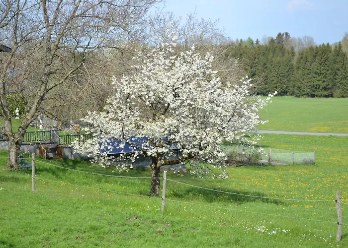 Daire Biohof Auinger, Der Tiererlebnishof