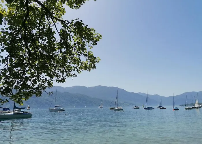 Daire Biohof Auinger, Der Tiererlebnishof Aurach am Hongar